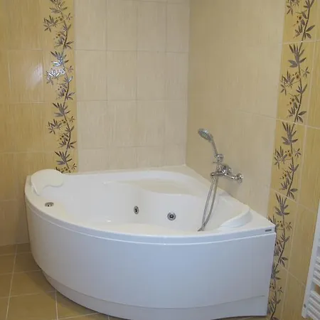 מלון Horsky Excelsior 3*