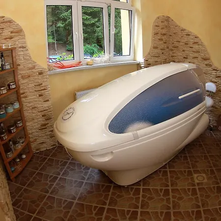 מלון Horsky Excelsior Horní Lomná