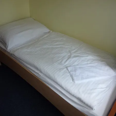 מלון Horsky Excelsior 3*