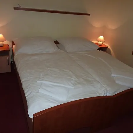 Horsky Excelsior Horní Lomná