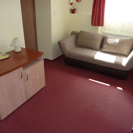 מלון Horsky Excelsior Horní Lomná