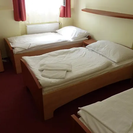 מלון Horsky Excelsior 3*