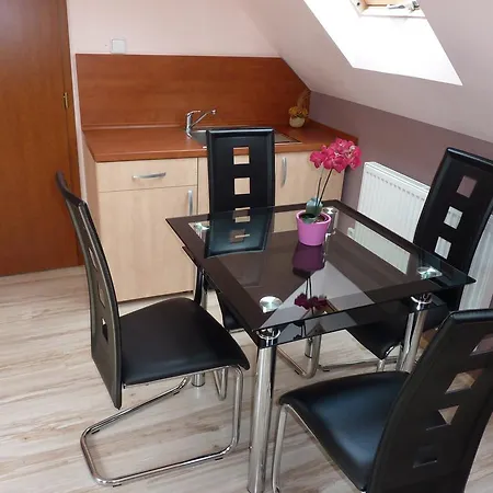 Horsky Excelsior Horní Lomná