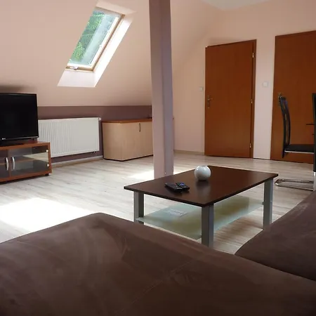 מלון Horsky Excelsior Horní Lomná