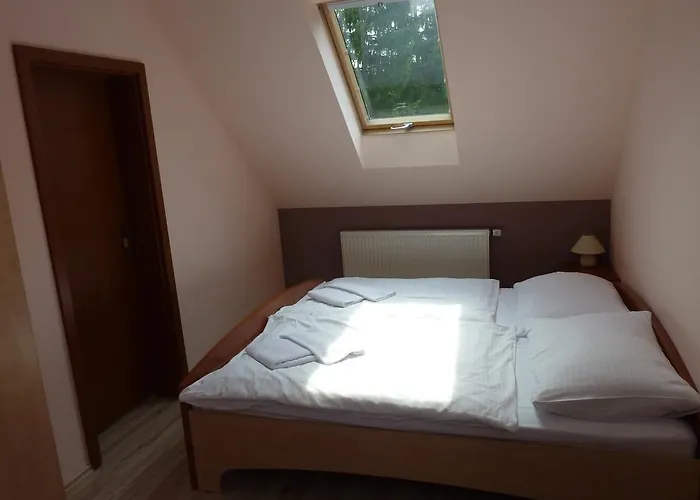 Horsky Excelsior Horní Lomná